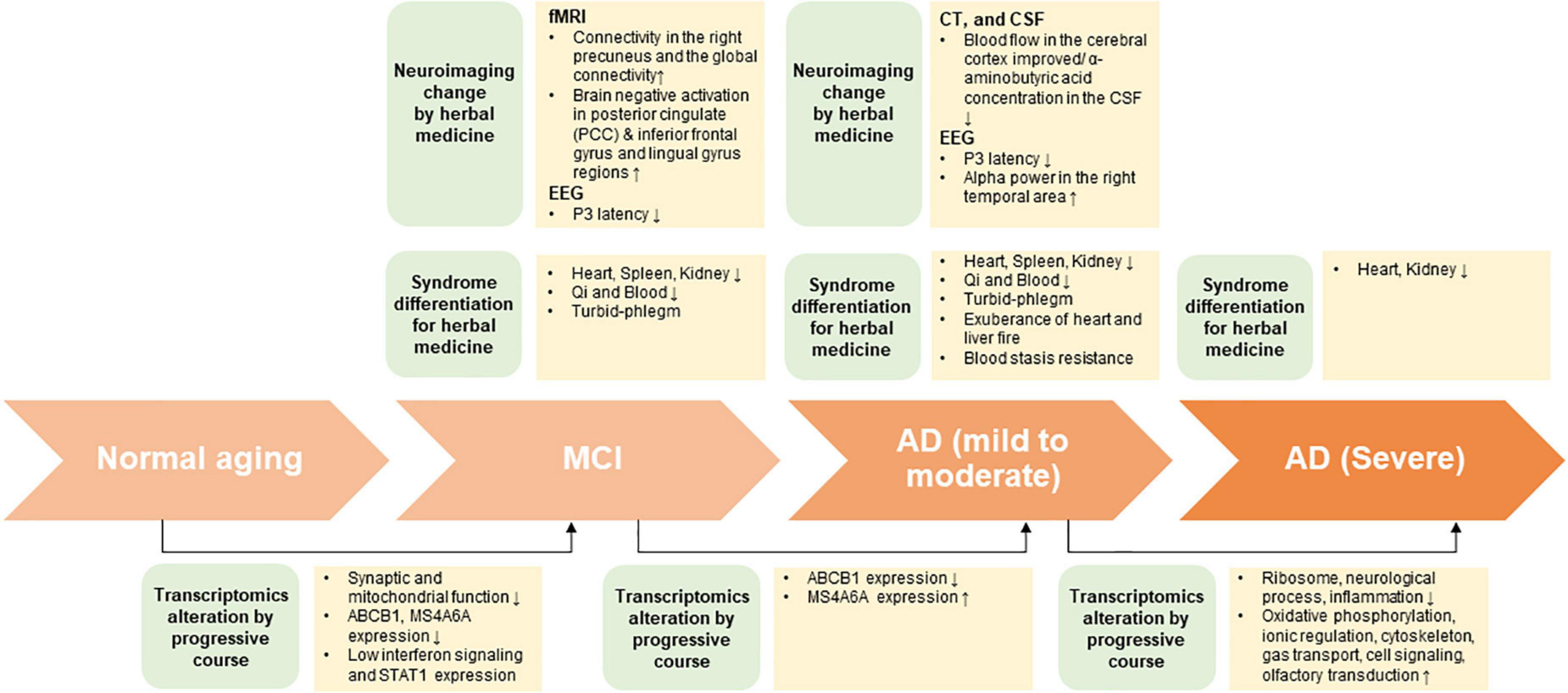 Literature review on the interdisciplinary biomarkers of multi-target and multi-time herbal medicine therapy to modulate peripheral systems in cognitive impairment
